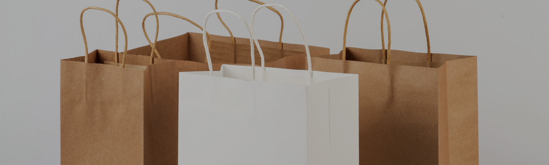 কাগজের ব্যাগ