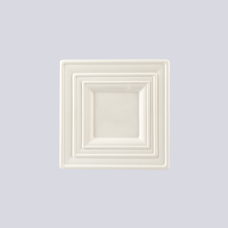 ঢালাই ফাইবার প্লেট এবং কাপ ট্রে